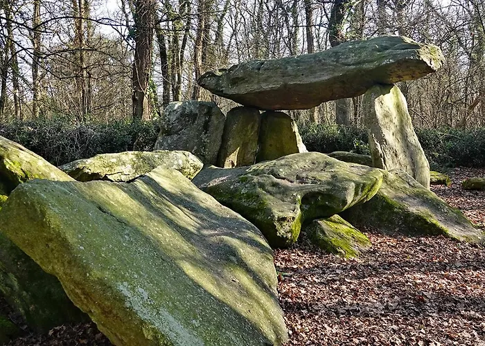 Pour 6 * Commequiers